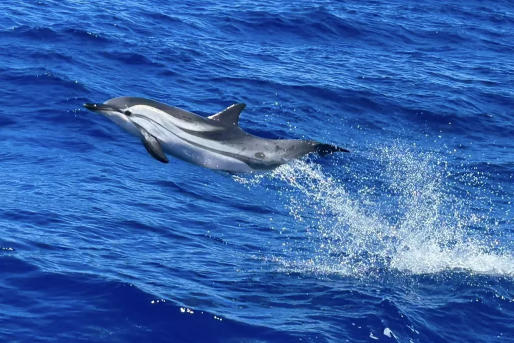 Baja California, Mexiko